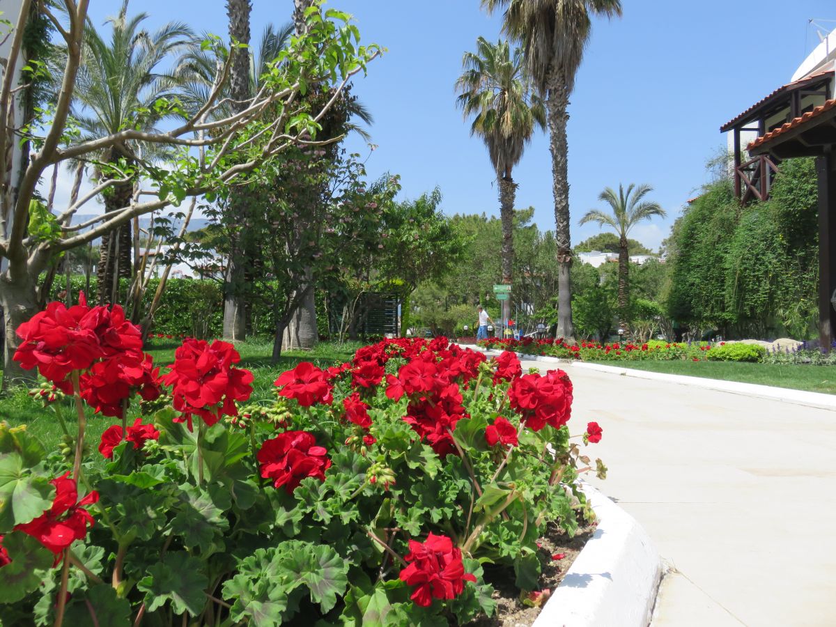 imagini hotel SIMENA SUN CLUB KEMER